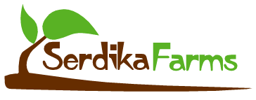 Ферми Сердика Logo