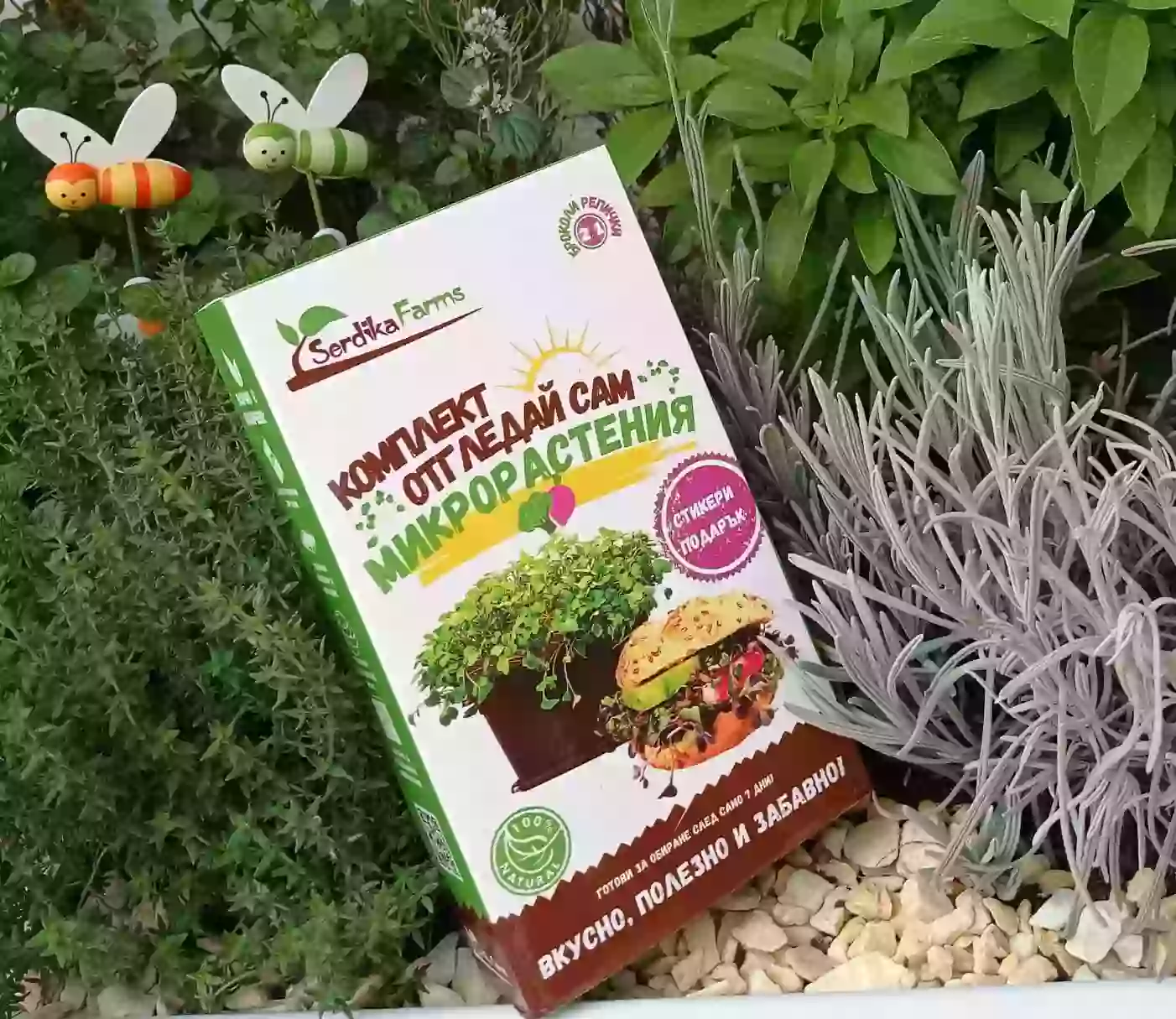 Serdika_Kit-микрорастения